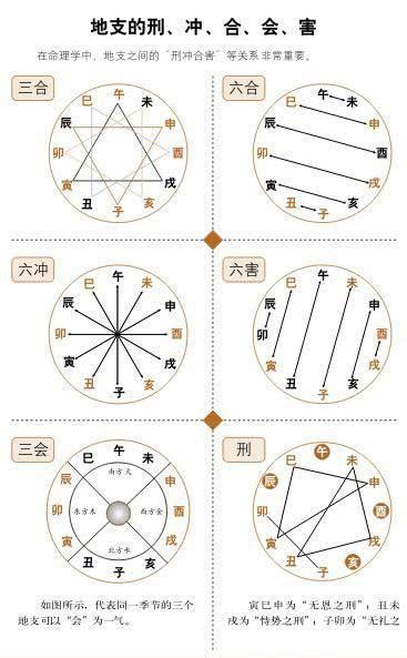 地支相沖|5分鐘學會地支合沖